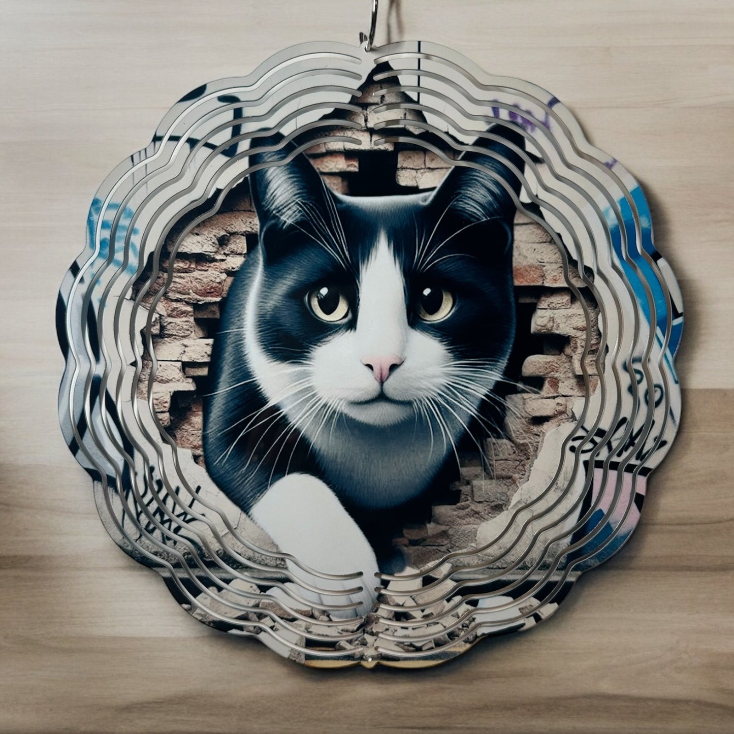Cat through Wall