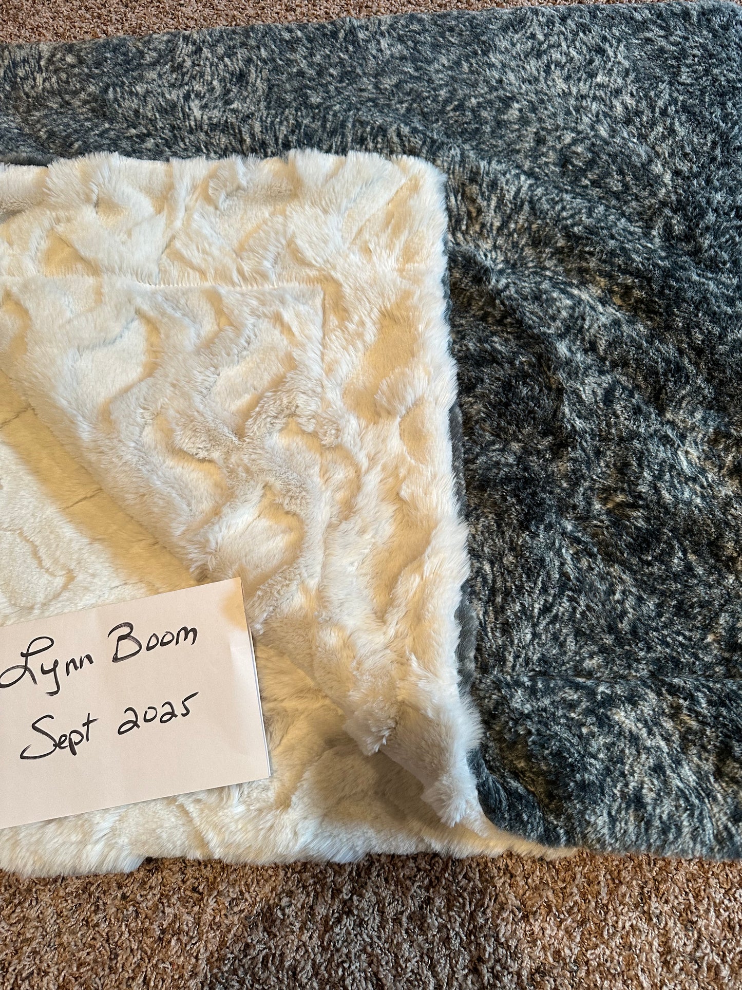60 x 72 Seamoss Jasper on white sage Cora whispy