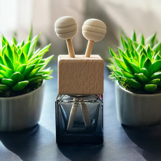 Car clip Reed Diffuser